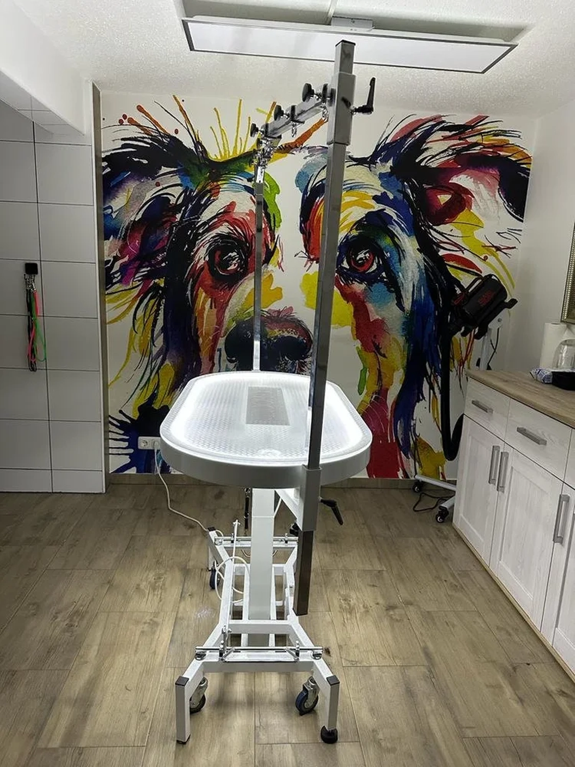 Picco Belli — Hundesalon — Balve