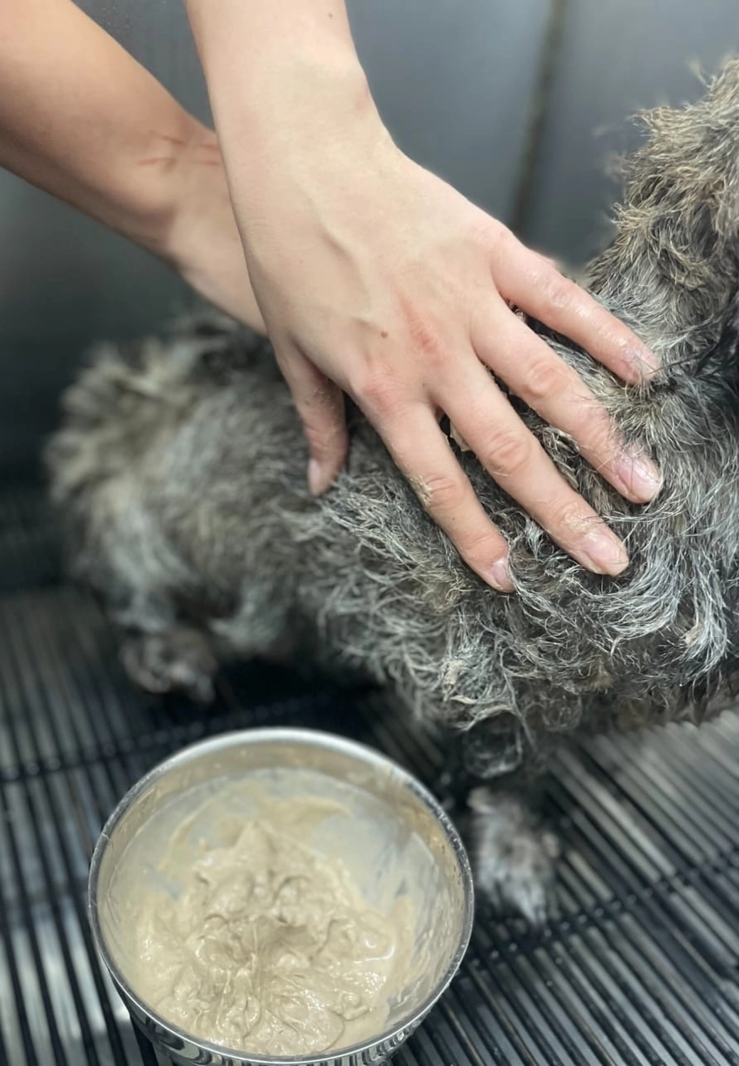 Picco Belli — Hundesalon — Balve — Thalasso-Therapie