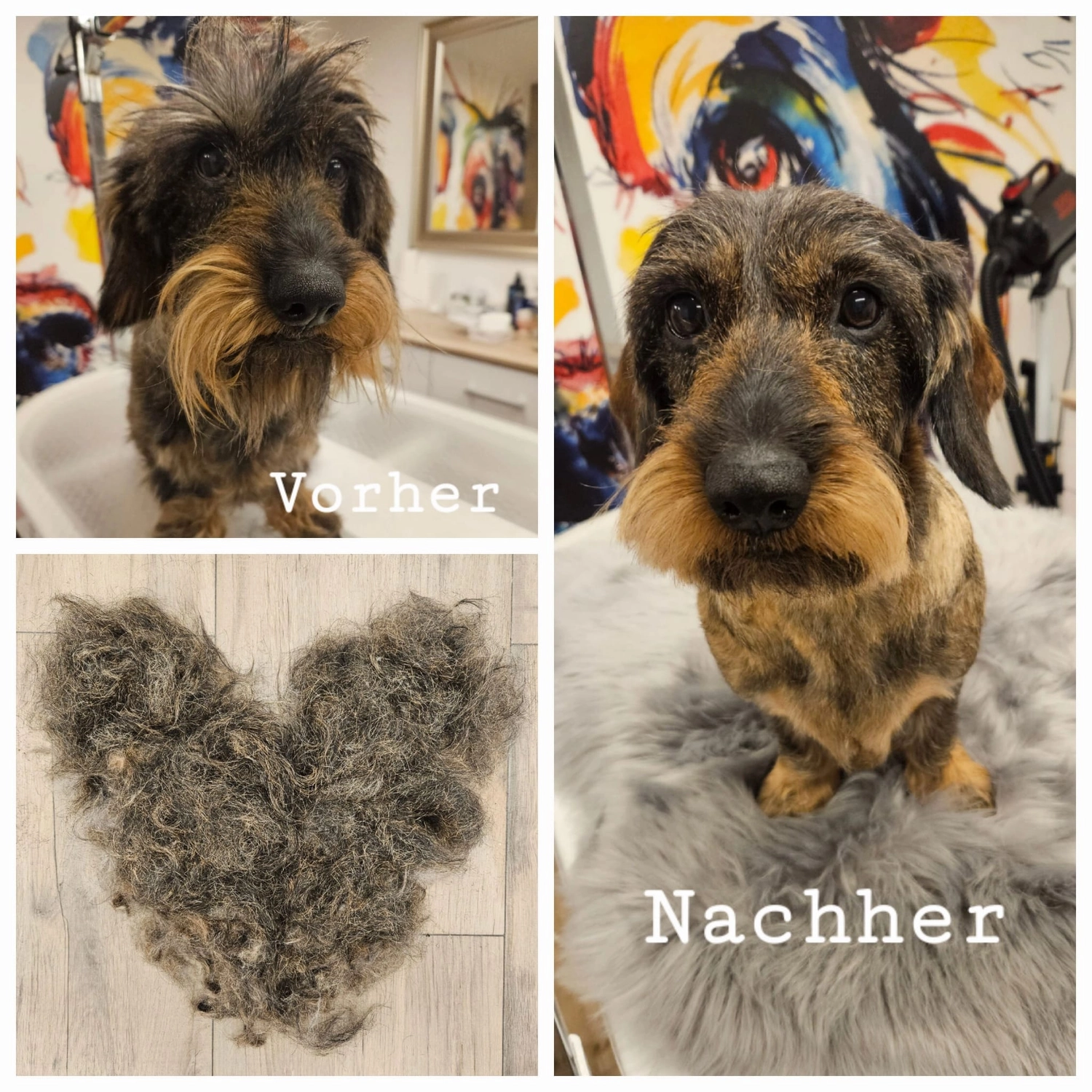 Picco Belli — Hundesalon — Balve — Pflegebad