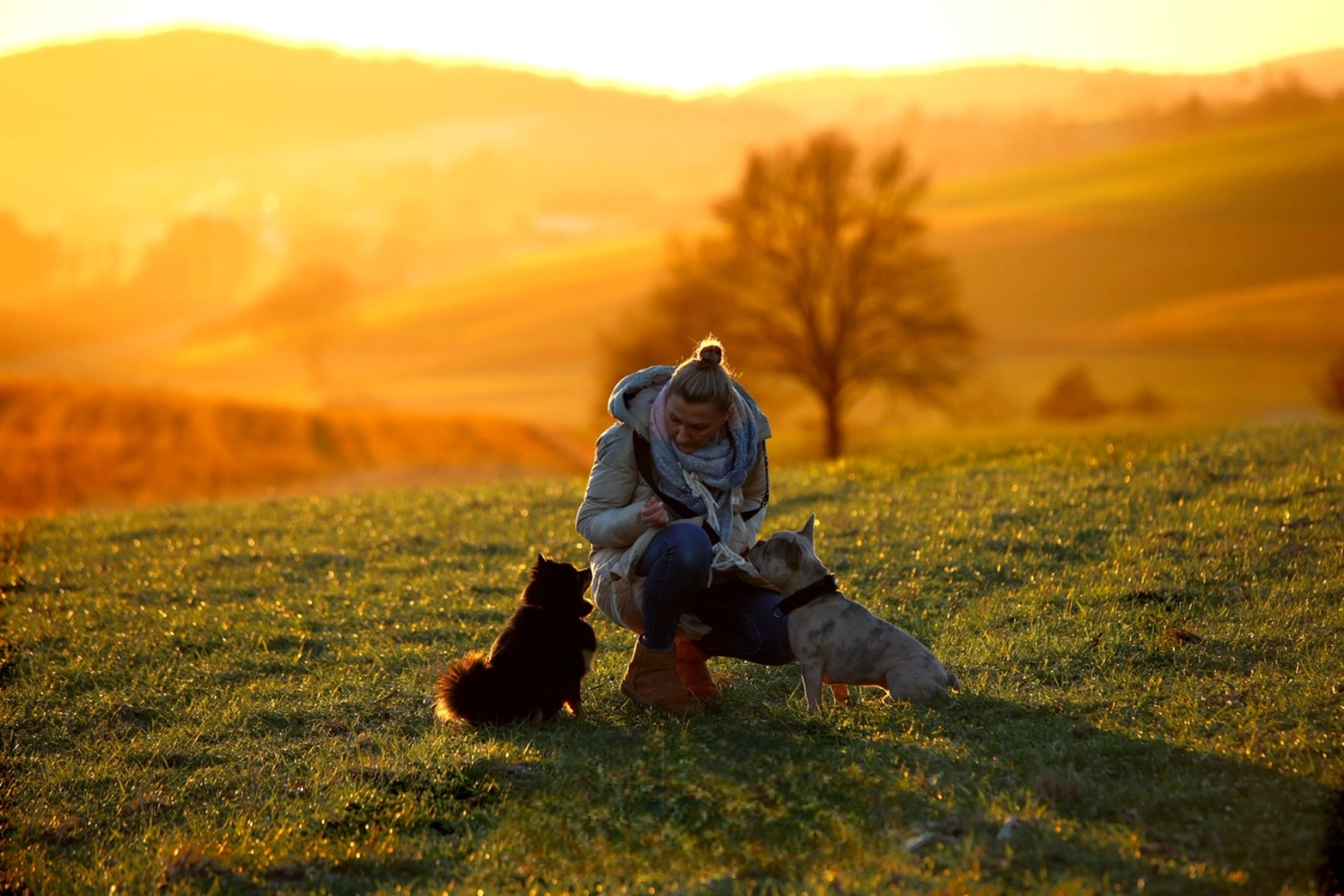 Picco Belli — Hundesalon — Balve