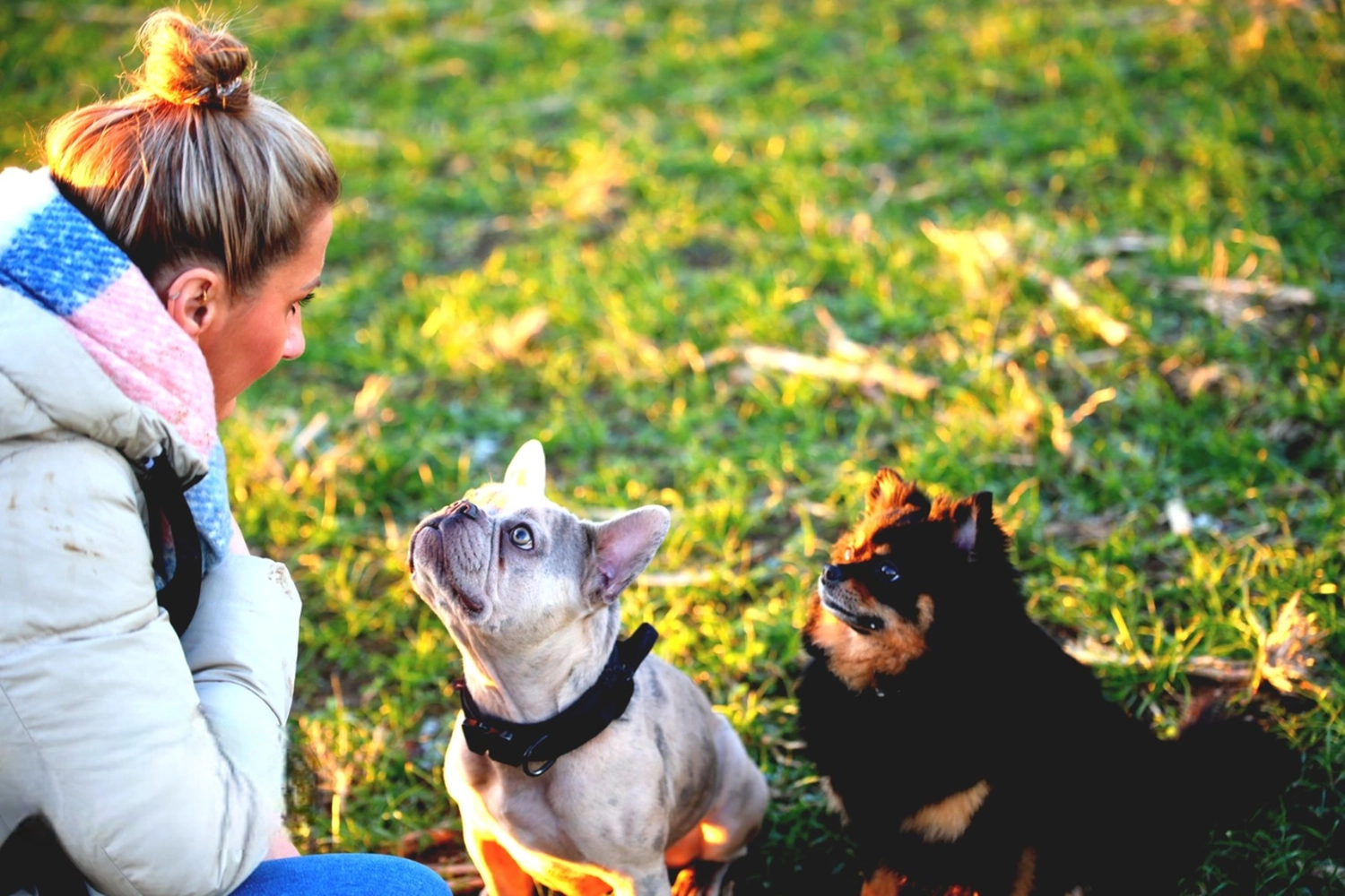 Picco Belli — Hundesalon — Balve